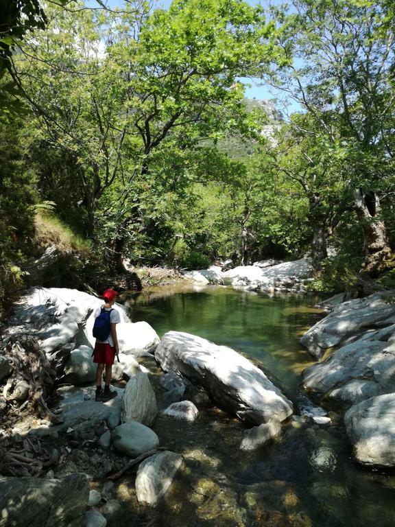 Aparthotel Gikas Marmari (Evia)