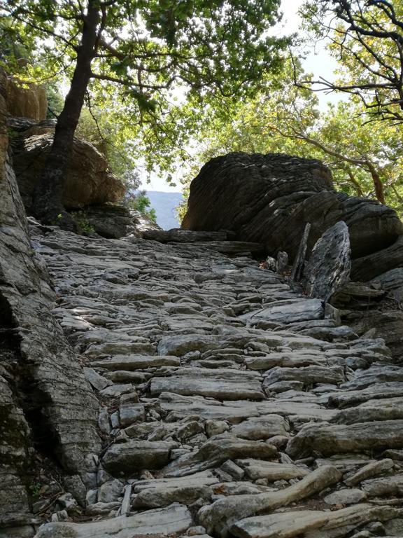 Gikas 3* Marmari (Evia)